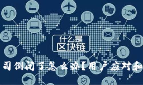 冷钱包公司倒闭了怎么办？用户应对和保障指南