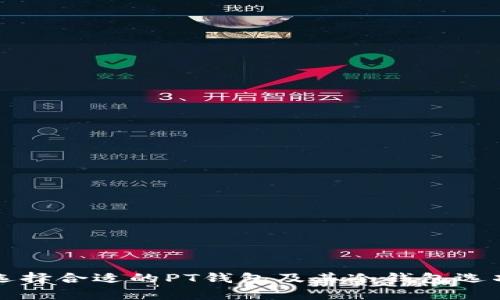 如何选择合适的PT钱包及其冷钱包选项分析