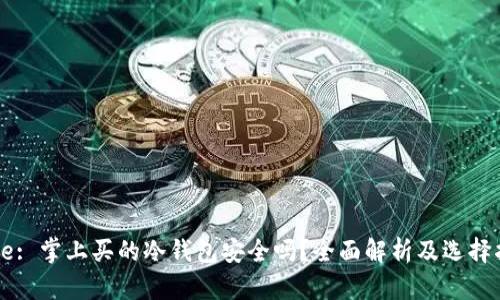 Title: 掌上买的冷钱包安全吗？全面解析及选择指南