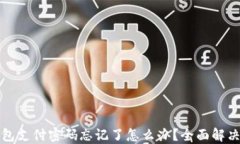 TP钱包支付密码忘记了怎么