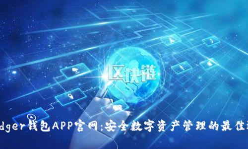  Ledger钱包APP官网：安全数字资产管理的最佳选择