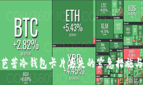 如何应对芭蕾冷钱包卡片丢失的紧急措施与预防策略