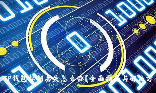 : TP钱包私钥丢失怎么办？全面指南与解决方案