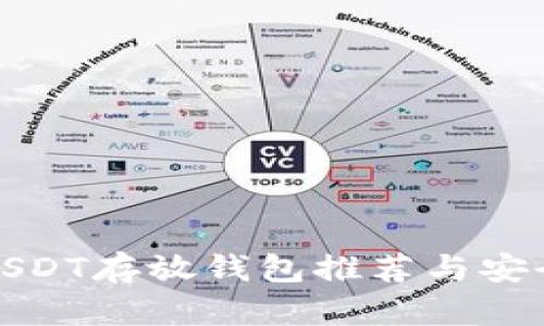 最佳USDT存放钱包推荐与安全指南