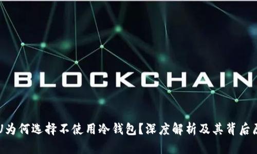 黑U为何选择不使用冷钱包？深度解析及其背后原因