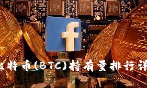 2023年比特币(BTC)持有量排行详解与分析