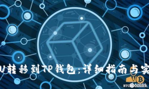 如何将U转移到TP钱包：详细指南与实用技巧