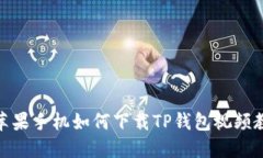: 苹果手机如何下载TP钱包