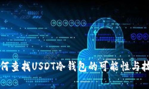 警察如何查找USDT冷钱包的可能性与技术分析