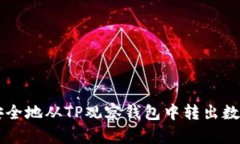 如何安全地从TP观察钱包中
