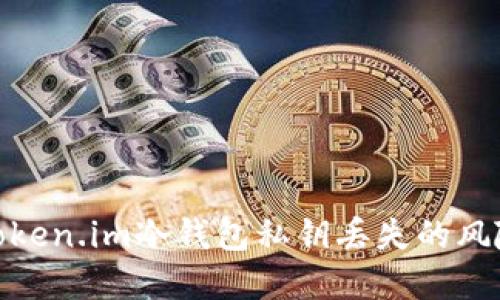 : 如何应对Token.im冷钱包私钥丢失的风险与解决方案