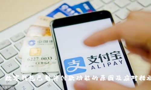 : 数字钱包已暂停付款功能的原因及应对措施