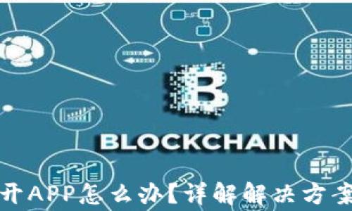 
TP钱包打不开APP怎么办？详解解决方案及常见问题