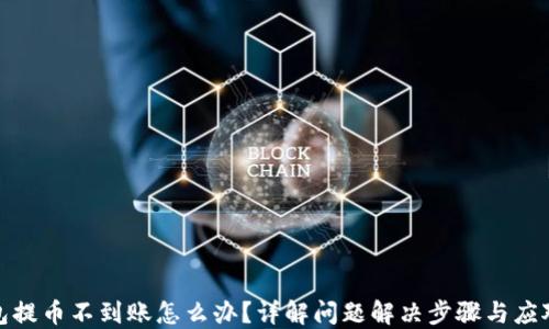 
TP钱包提币不到账怎么办？详解问题解决步骤与应对策略
