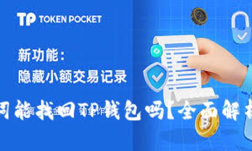 : 没有助记词能找回TP钱包吗？全面解析与解决方案