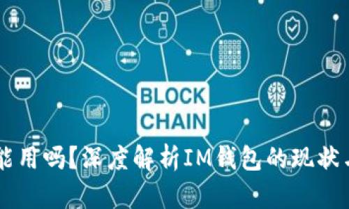 IM钱包还能用吗？深度解析IM钱包的现状与未来发展