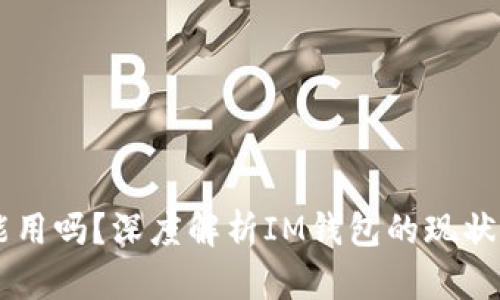 IM钱包还能用吗？深度解析IM钱包的现状与未来发展