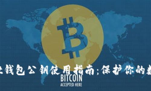 TokenPocket钱包公钥使用指南：保护你的数字资产安全