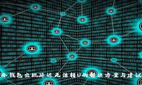 冷钱包出现延迟无法转U的解决方案与建议