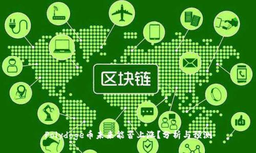 Polydoge币未来能否上涨？分析与预测