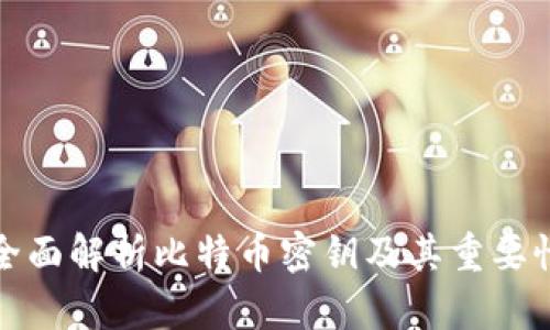 全面解析比特币密钥及其重要性