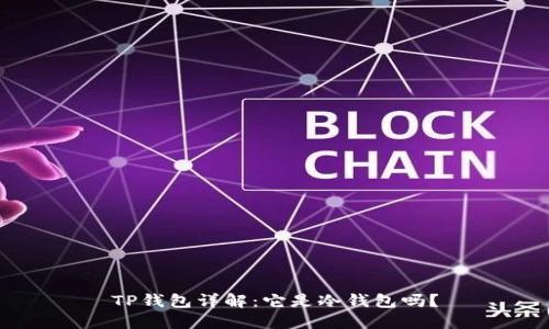 TP钱包详解：它是冷钱包吗？