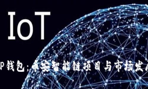 探秘TP钱包：币安智能链项目与市场发展前景
