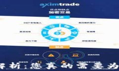 数字钱包的费用解析：您
