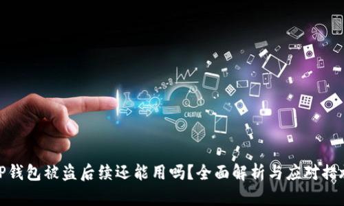 TP钱包被盗后续还能用吗？全面解析与应对措施