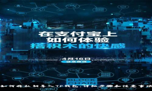 如何将私钥导入TP钱包：详细步骤和注意事项