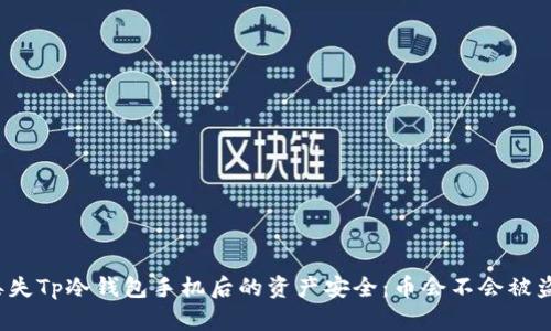 丢失Tp冷钱包手机后的资产安全：币会不会被盗？