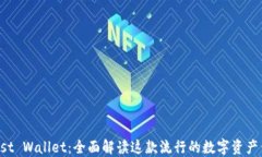 Trust Wallet：全面解读这款