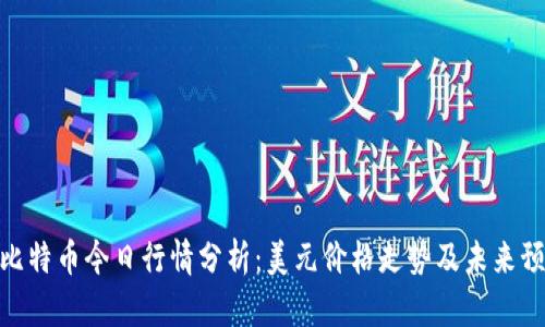 : 比特币今日行情分析：美元价格走势及未来预测