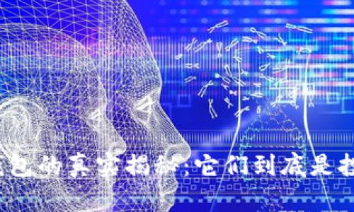 冷钱包与热钱包的真实揭秘：它们到底是投资还是骗局？