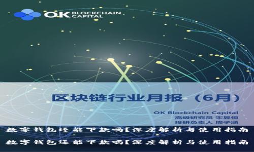 数字钱包还能下款吗？深度解析与使用指南

数字钱包还能下款吗？深度解析与使用指南