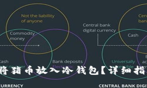  如何安全地将猪币放入冷钱包？详细指南与实用技巧