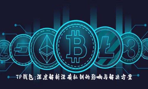 TP钱包：深度解析没有私钥的影响与解决方案