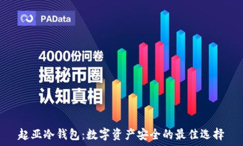   
起亚冷钱包：数字资产安全的最佳选择