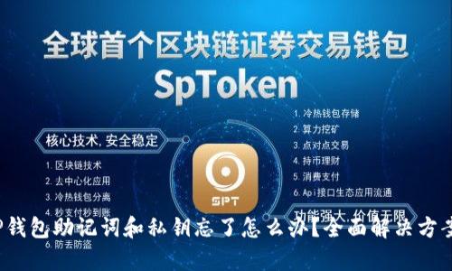 : T P钱包助记词和私钥忘了怎么办？全面解决方案解析