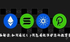 全面解读：如何通过t p钱