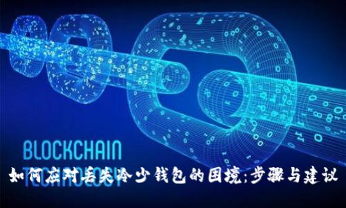 如何应对丢失冷少钱包的困境：步骤与建议