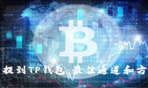 狗狗币提到TP钱包：最佳通道和方法详解