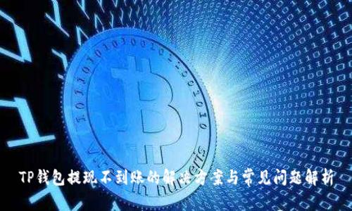 TP钱包提现不到账的解决方案与常见问题解析