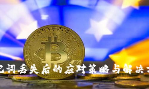 助记词丢失后的应对策略与解决方案