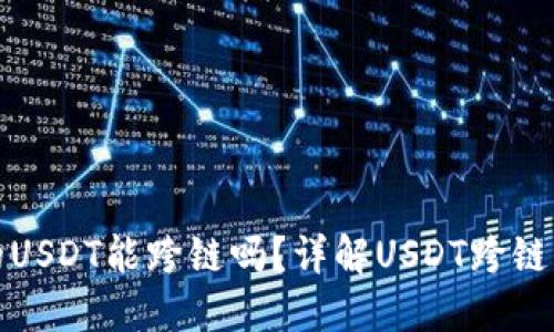 TP钱包里的USDT能跨链吗？详解USDT跨链操作与技巧