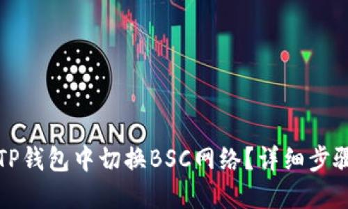 如何在TP钱包中切换BSC网络？详细步骤与指南