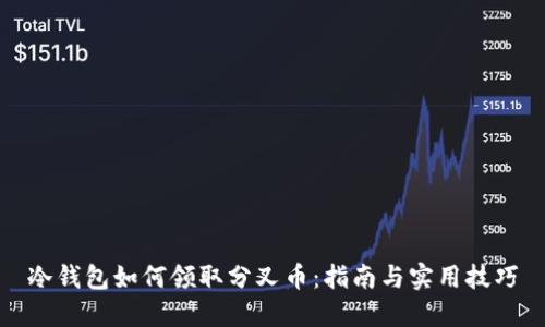冷钱包如何领取分叉币：指南与实用技巧