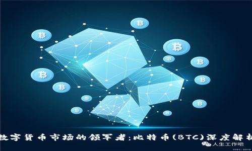 数字货币市场的领军者：比特币(BTC)深度解析