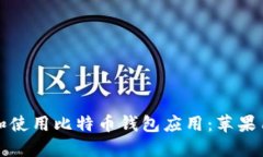如何安全下载和使用比特