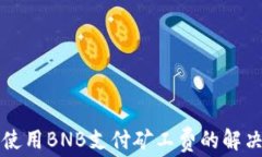 TP钱包无法使用BNB支付矿工